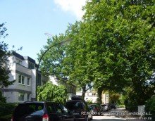 Waitzstr vor dem Haus 1 VERKAUFT: Garten-Wohnung in Jugendstil-Villa
Gro� Flottbek / nahe Othmarschen