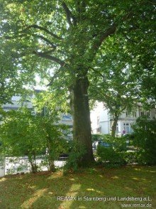 Garten vorn VERKAUFT: Garten-Wohnung in Jugendstil-Villa
Gro� Flottbek / nahe Othmarschen