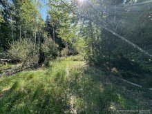 Wald bei Naturgrundst�cks-Teil Ortsrandlage! Gro�es Grundst�ck f�r Doppelhaush�lfte