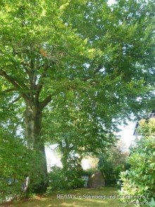Garten vorn VERKAUFT: Garten-Wohnung in Jugendstil-Villa
Gro� Flottbek / nahe Othmarschen